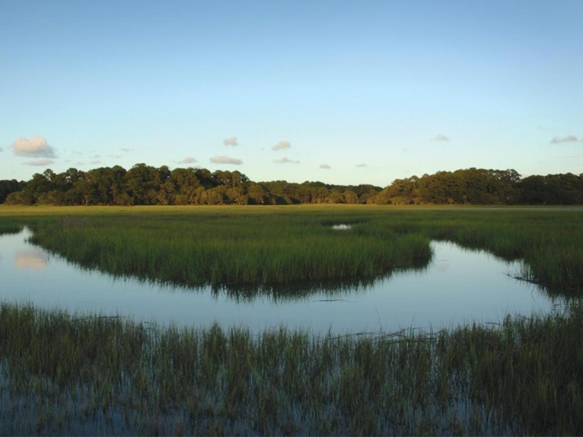 32 Mooring Buoy Villa Hilton Head Island Bagian luar foto